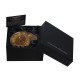 Fossil Gift Box, Medium, Ammonite